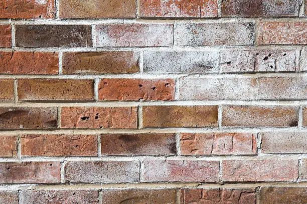 Image of powdered white efflorescence on a red brick wall.  The white dusty material is caused by moisture within the brick wall pushing salts to the surface.
