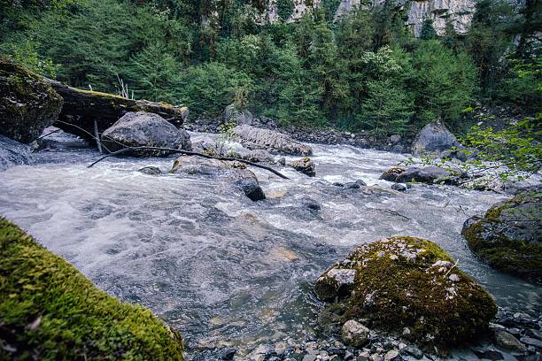 istock Mountain canyon River with deep forest Landscape 513794360