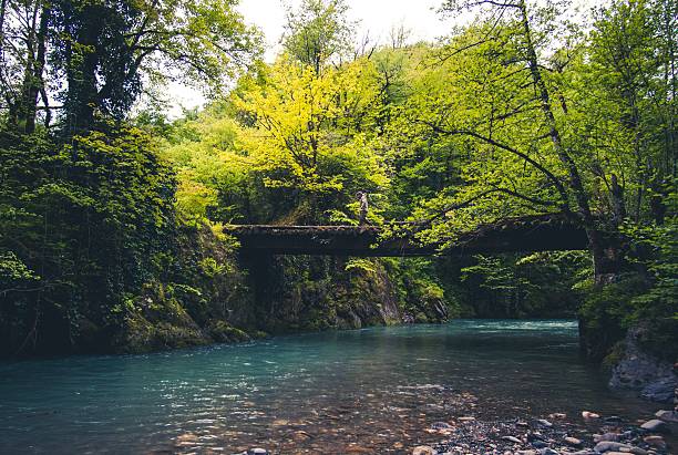 istock River in deep forest and Bridge with man hiker 513795794