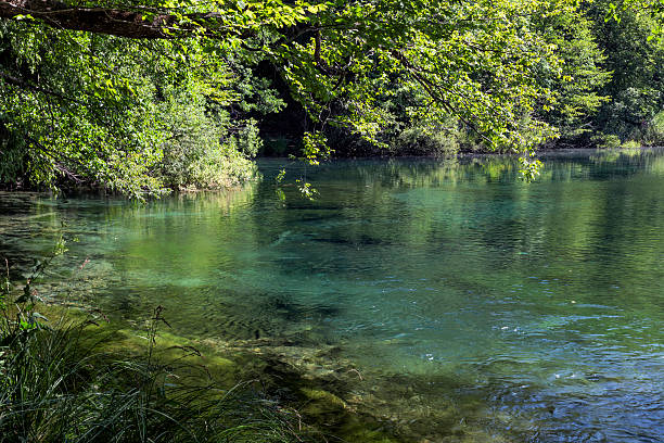 istock Plitvice Lakes, Croatia 513797304