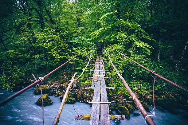 istock Wooden Bridge old over river 513799034