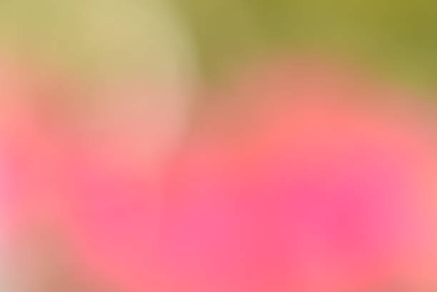 istock abstract blur bokeh background from nature 513800510