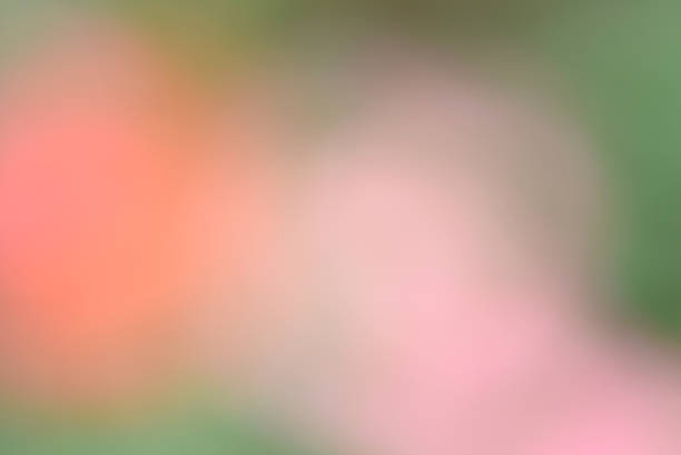 istock abstract blur bokeh background from nature 513800602