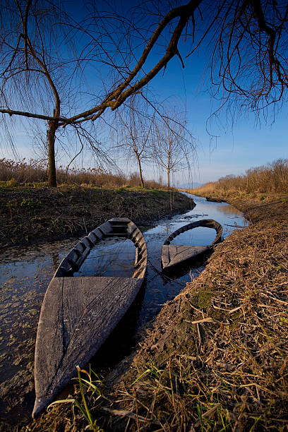 istock Padule di Fucecchio, Natural Park, Tuscany 513803230