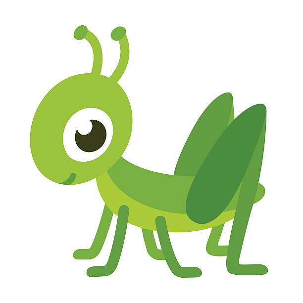 illustrazioni stock, clip art, cartoni animati e icone di tendenza di graziosa fumetto cavalletta - grasshopper