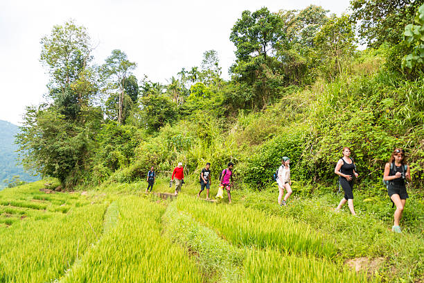istock Small group of tourists hiking rice fields in Sri Lanka 513806302