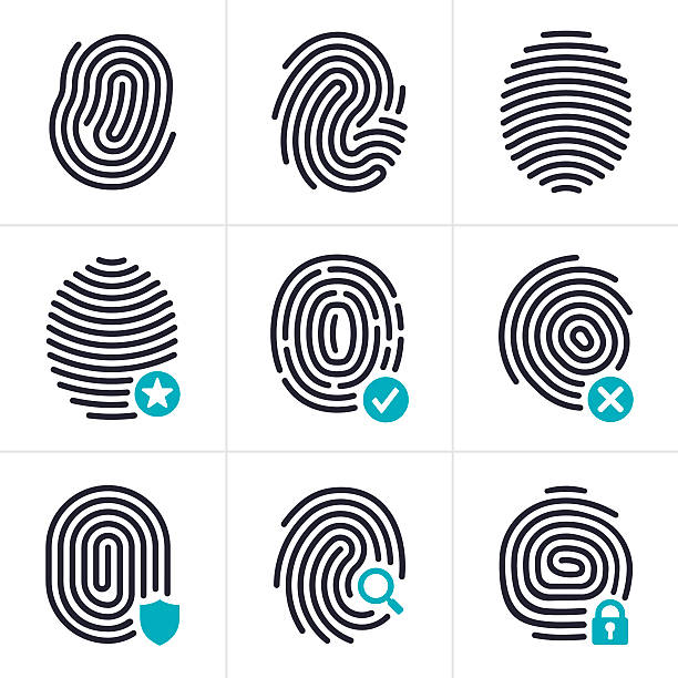 ilustraciones, imágenes clip art, dibujos animados e iconos de stock de huella dactilar de la identidad y de seguridad símbolos - fingerprint identity id card biometrics