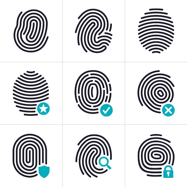 Fingerprint Identity and Security Symbols Fingerprint biometric and identity security symbol and icon collection. EPS 10 file. Transparency effects used on highlight elements. crime scene investigation stock illustrations