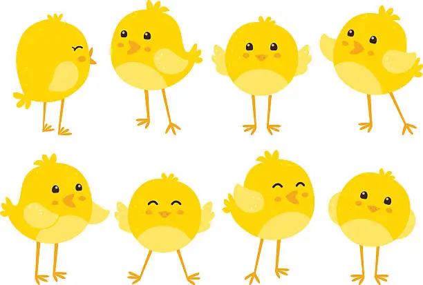 Vector illustration of Set of cute cartoon chickens