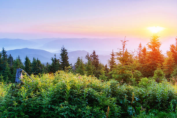 istock Fantastic sunset in the mountains of Ukraine. 513808710