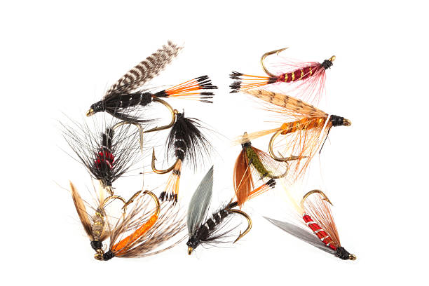 Flies used when fly fishing. stock photo