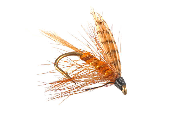 Flies used when fly fishing. stock photo