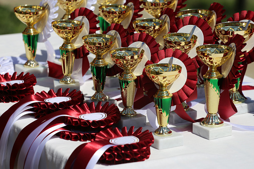 Group of the trophies and ribbons for the winners