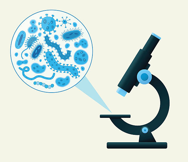 illustrazioni stock, clip art, cartoni animati e icone di tendenza di microscopio con blu germi illustrazione vettoriale - microscopio illustrazioni