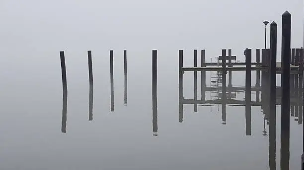 Photo of The Fog