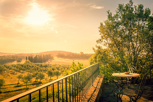 Sunlight over olive field in Tuscany with a table on a terrace in the foreground