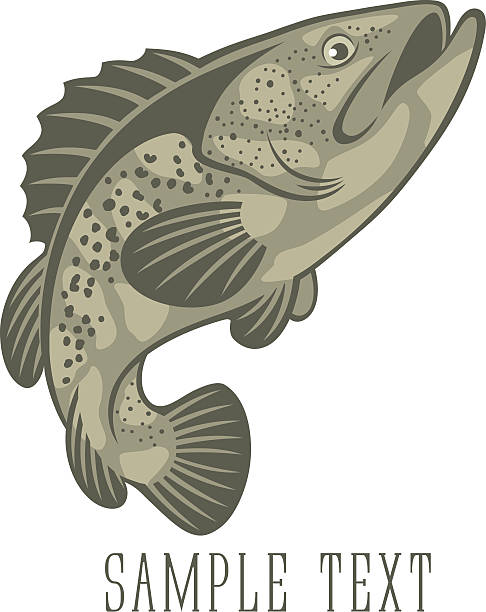 ryby grzęda - minnow stock illustrations