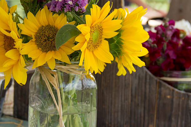 istock Flowers in a Mason jar 513817168