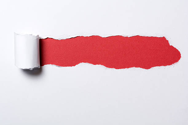 istock Ripped white paper with curled edges. 513819452