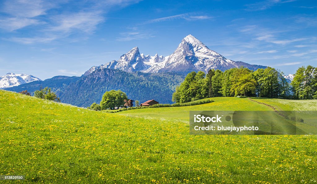 Paysage idyllique dans les Alpes et les prairies vertes et des fleurs - Photo de Montagne libre de droits