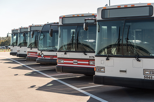 Row of Parked Buses