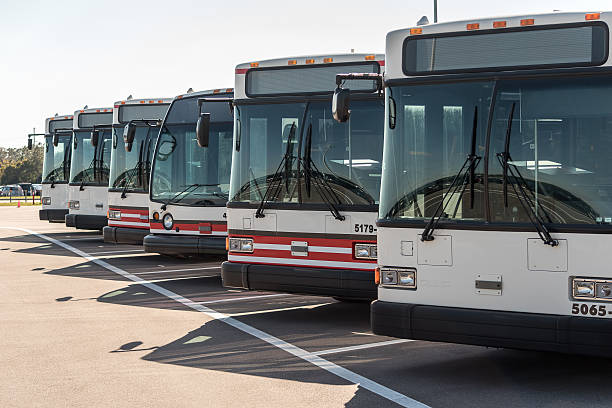 Row of Buses Row of Parked Buses group transportition stock pictures, royalty-free photos & images