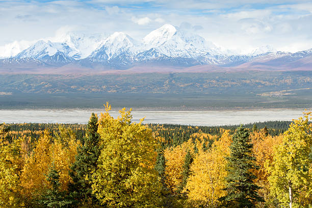 istock Snowy Alaska Mountain Range in Autumn Colors 513822452