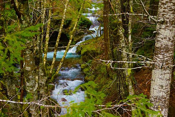 istock Scorpion Creek Zoom 513823216