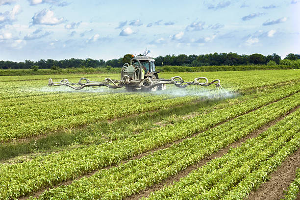 istock tractor spraying pesticides on a field 513824751