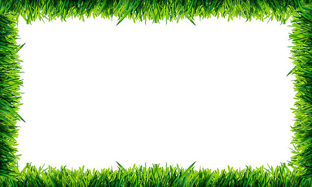 Green frame with lush grass isolated on white background Green frame with lush grass isolated on white background storming stock pictures, royalty-free photos & images