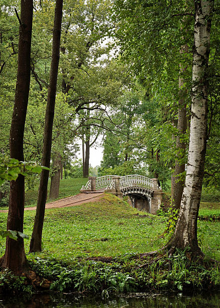 istock View of an old bridge  between trees in thepark 513827521