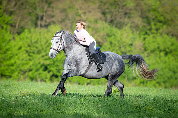 istock Woman riding a horse on the field 513827607