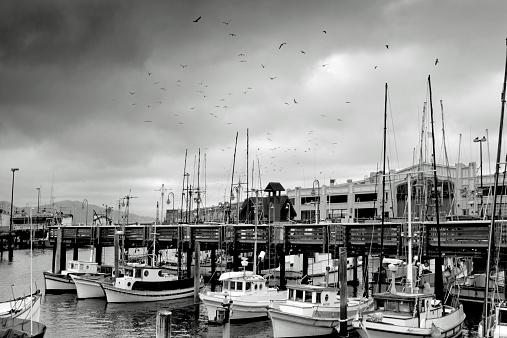 The fishing fleet at Fisherman's Wharf San Francisco with a dark foreboding sky full of seagulls just after dawn.