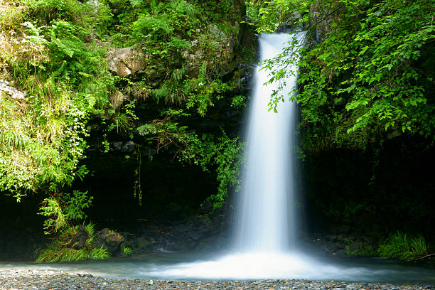 It is a waterfall of Jinba in Fujinomiya, Shizuoka in Japan.Season is summer.
