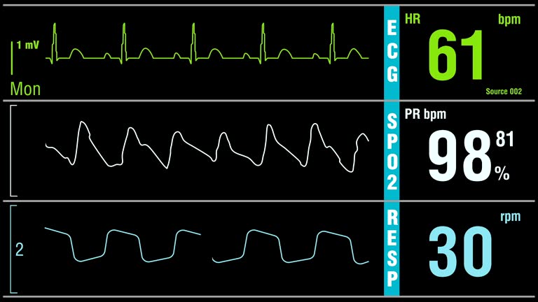 Patient monitor displays medical exam vital signs