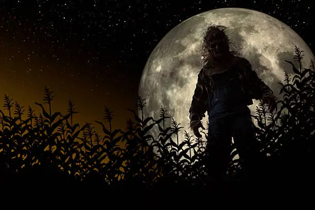 Silhouette of a Scarecrow in cornfield