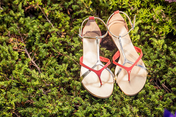 istock sandals, women's elegant shoes in nature 513848389