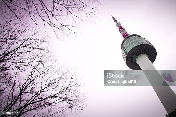 Seoul Tower And Silhouette Tree South Korea Stock Photo - Download Image Now - Architecture, Capital Cities, Day