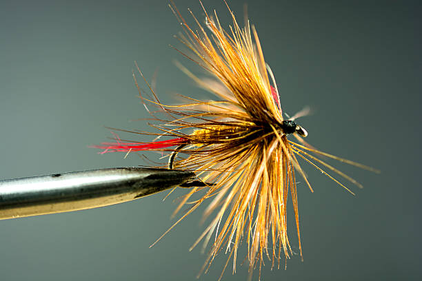 istock Used Fishing Fly 513849865