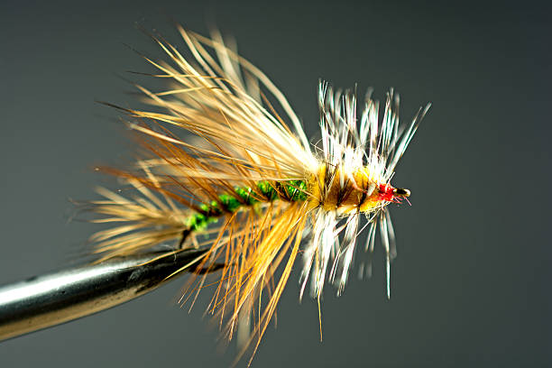 istock Used Fishing Fly 513849867