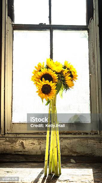 Sunflowers In Front Of An Antique Window Stock Photo - Download Image Now - Antique, Architecture, Autumn