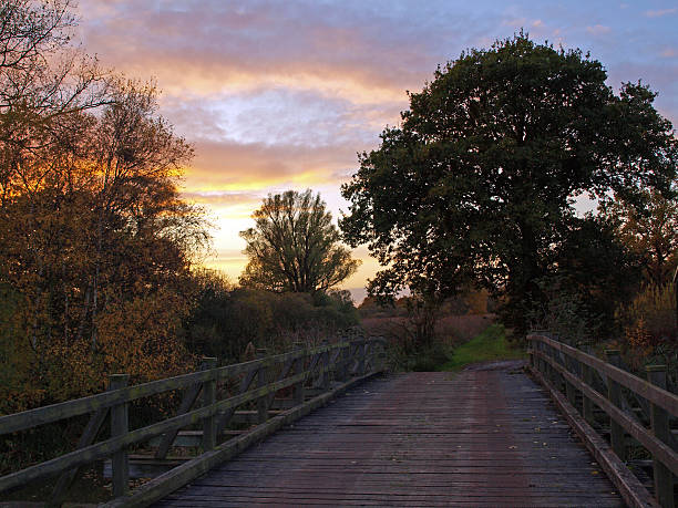 Autumn sunset. stock photo