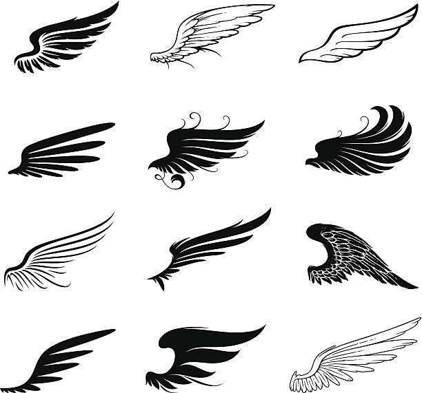 skrzydła zestaw - silhouette feather vector white stock illustrations