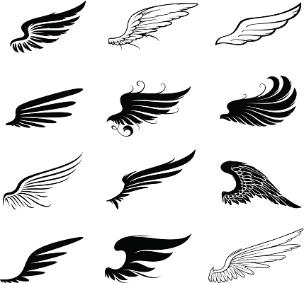 Different shape of the wings for your design