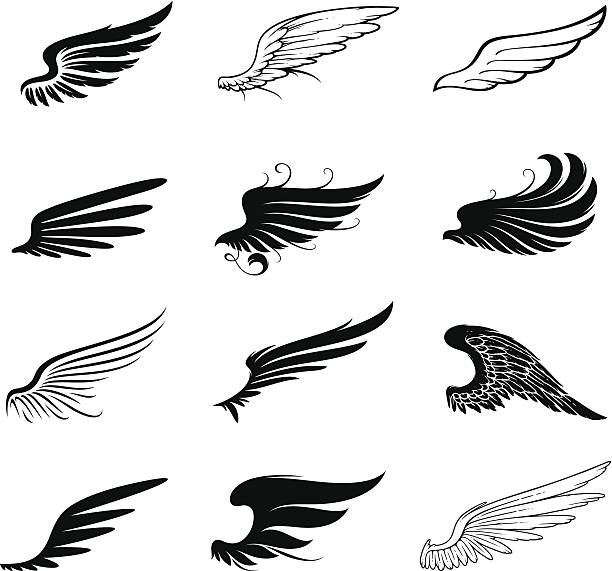 Wings set Different shape of the wings for your design angels tattoos stock illustrations