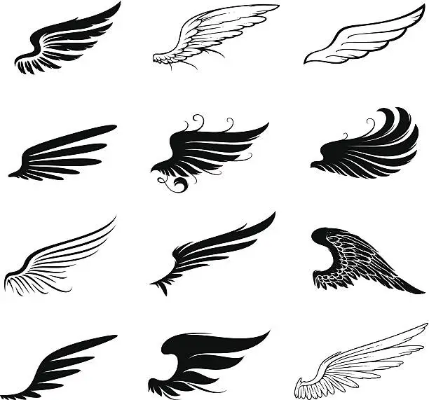 Vector illustration of Wings set