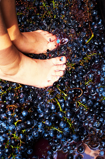 Feet's pressing grape. Color Image