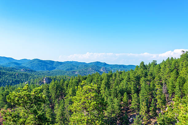 istock View of the Black Hills 513872070