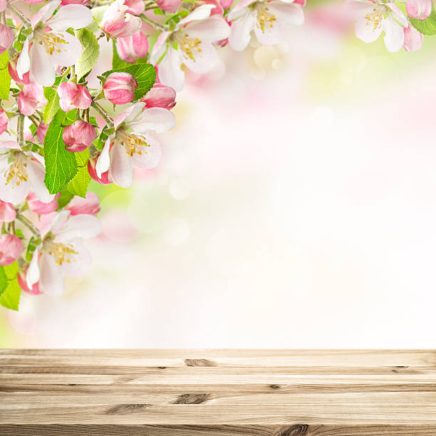 istock Wooden table top on blossoming apple tree blurred background 513873670