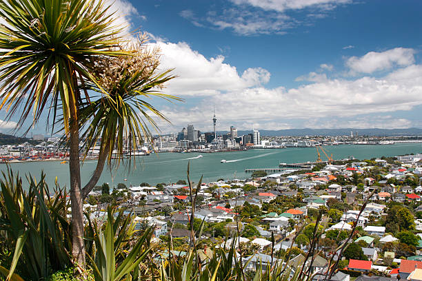 istock Auckland New Zealand 513873920